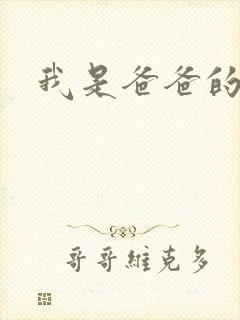 我是爸爸的玩具封面