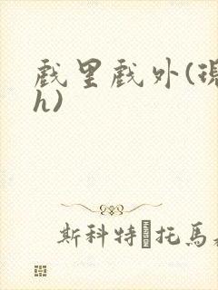 戏里戏外(现场h)