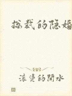 总裁的隐婚新娘封面