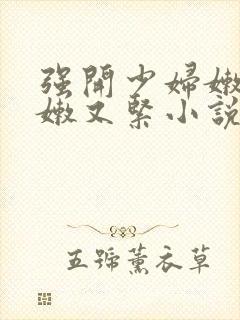 强开少妇嫩苞又嫩又紧小说