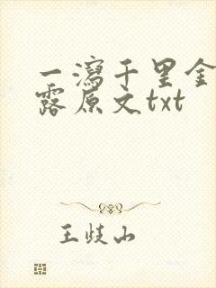 一泻千里金银花露原文txt