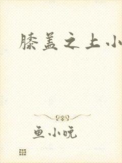 膝盖之上小说封面