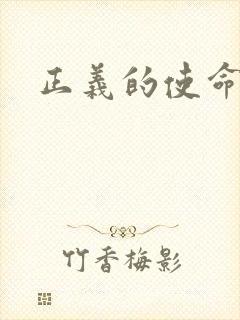 正义的使命小说