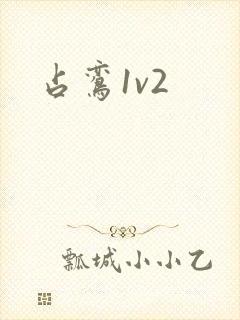 占鸾1v2