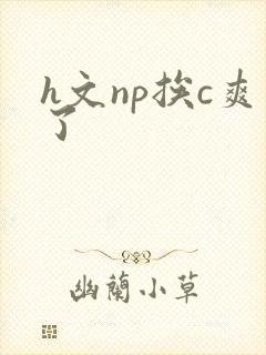 h文np挨c爽了