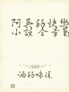 阿兵的快乐生活小说 全章节阅读免费