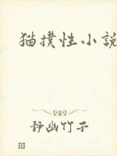猫扑性小说