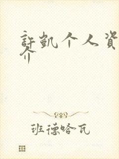 许凯个人资料简介