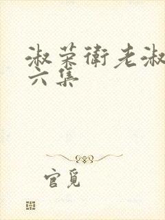 淑荣卫老淑荣第六集封面