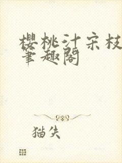 樱桃汁宋枝江野笔趣阁