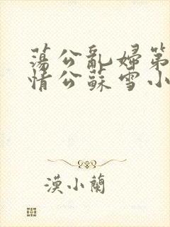 荡公乱妇第1章情公苏雪小说