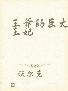 王爷的巨大进入王妃