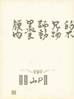 腹黑师兄的日常肉食动物不食草