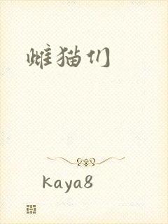 雌猫们