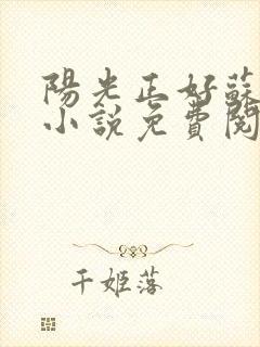 阳光正好苏玥玥小说免费阅读无弹窗