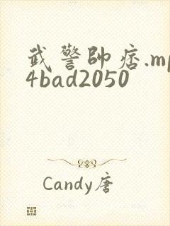 武警帅痞.mp4bad2050