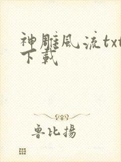 神雕风流txt下载
