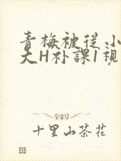 青梅被从小摸到大H补课1视频