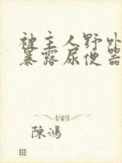 被主人野外调教暴露尿便器