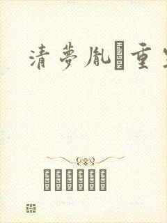 清梦胤礽重生