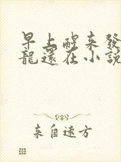 早上醒来发现巨龙还在小说