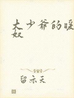 大少爷的暖床小奴