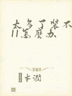 太多了装不下h11怎么办封面