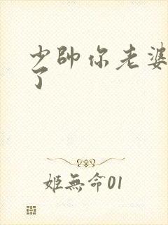 少帅你老婆又跑了