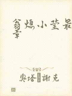 翁熄小莹最新节章