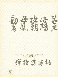 韵母攻略第二部鸾凤朝阳免费阅读