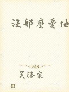 没那么爱他封面