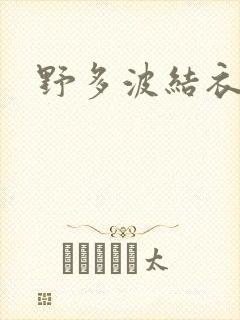野多波结衣