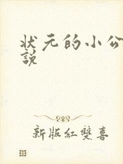 状元的小公主小说