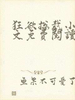 狂欲总裁小说全文免费阅读