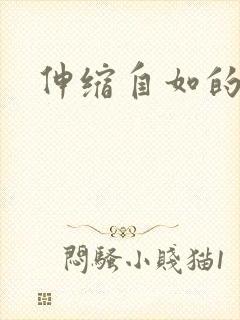 伸缩自如的爱封面