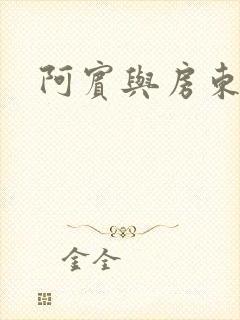 阿宾与房东太太封面