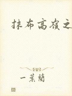 抹布高岭之花封面