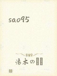 sao95封面