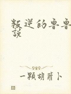 叛逆的鲁鲁修小说封面