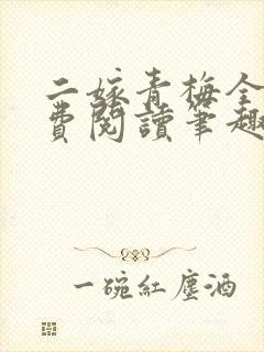 二嫁青梅全文免费阅读笔趣阁