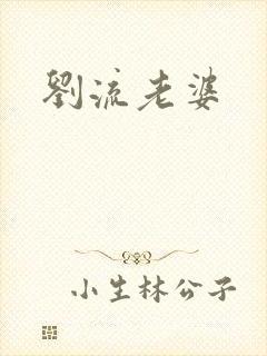 刘流老婆封面