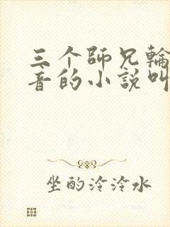 三个师兄轮流上音的小说叫什么