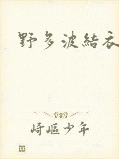 野多波结衣