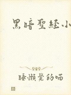 黑暗圣经小说封面