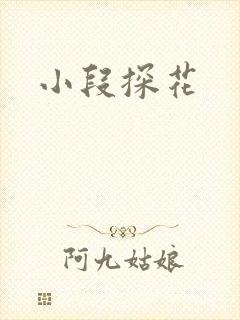小段探花封面