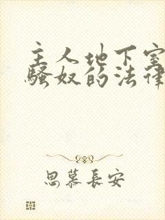 主人地下室惩罚骚奴的法律后果封面