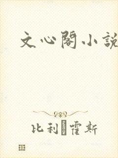 文心阁小说