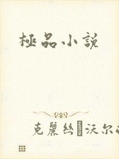 极品小说