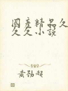 国产精品久久久久久小说