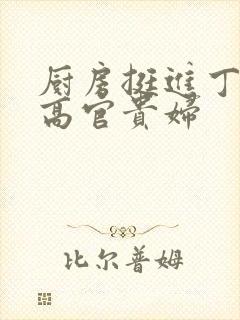 厨房挺进丁字裤高官贵妇